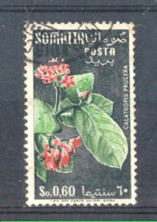 1955 - LOTTO/9852U - SOMALIA AFIS - 60c. FIORI - USATO