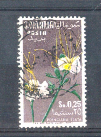 1959 - LOTTO/9869U - SOMALIA AFIS - 25c. FIORI  USATO