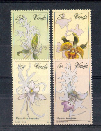 1981 - LOTTO/9896 - VENDA  - ORCHIDEE