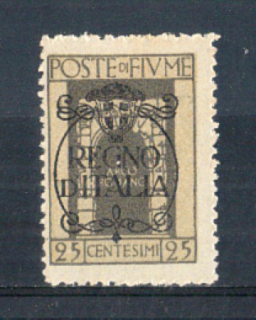 1924 - LOTTO/FIU191L - FIUME - 25c. GRIGIO LING.