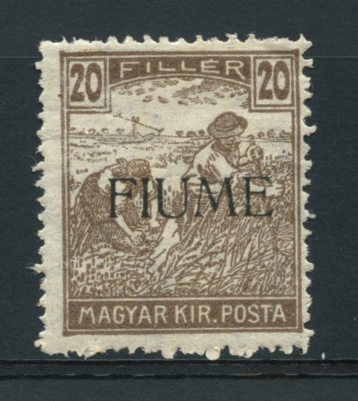 1918 - LOTTO/14878 - FIUME - 20 FILLER BRUNO GRIGIO - LING.