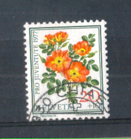 1977 - LOTTO/SVI1042U - SVIZZERA - 20+10c. PRO JUVENTUTE - USATO