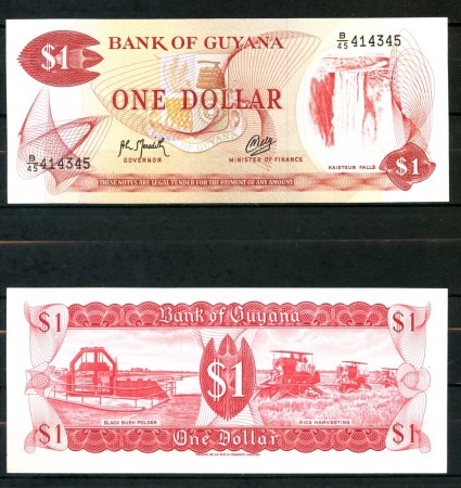 1966 - GUYANA - 1 DOLLARO FIOR DI STAMPA - LOTTO/26129