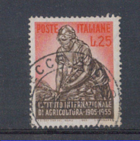 1955 - LOTTO/6289U - REPUBBLICA - 25 L. AGRICOLTURA USATO