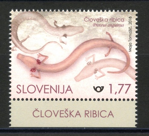 2018 - SLOVENIA - PROTEO DELLE GROTTE - NUOVO - LOTTO/34700