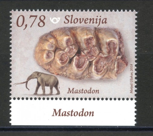 2018 - SLOVENIA - FOSSILI - NUOVO - LOTTO/34691
