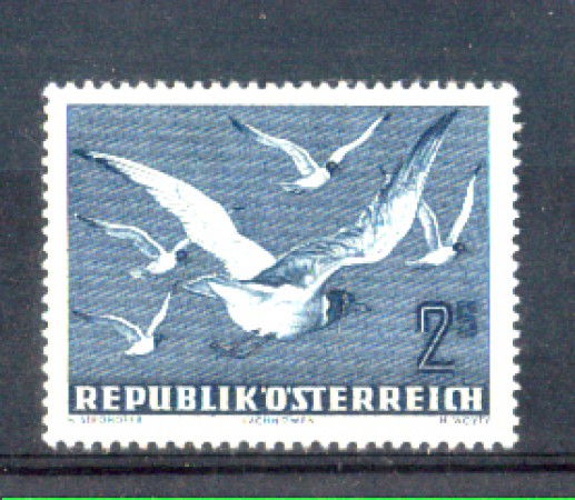 1950/53 - LOTTO/AUSA56L - AUSTRIA - POSTA AEREA  2s. GABBIANI