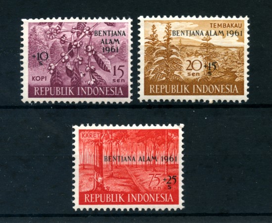 1961 - LOTTO/24118 - INDONESIA - PRO VITTIME INONDAZIONE 3v. - NUOVI