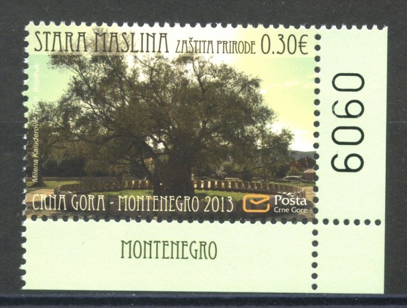 2013 - MONTENEGRO REPUBBLICA -  PROTEZIONE NATURA - NUOVO - LOTTO/34939