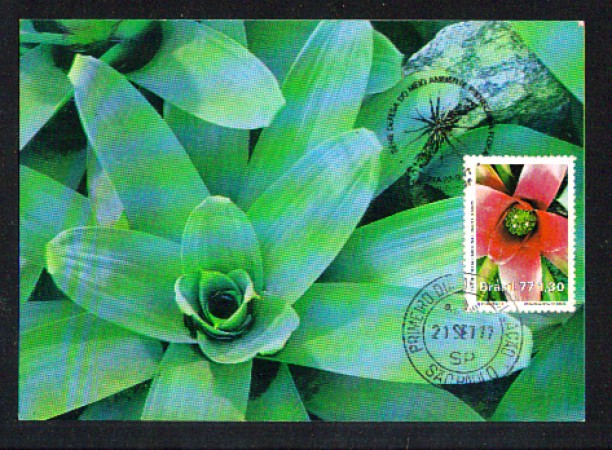 1977 - LOTTO/1574 - BRASILE - 1,30 PROTEZIONE NATURA - CARTOLINA MAXIMUM