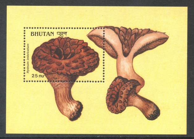 1990 - BHUTAN - FUNGHI HYDNUM IMBRICATUM - FOGLIETTO NUOVO - LOTTO/29885