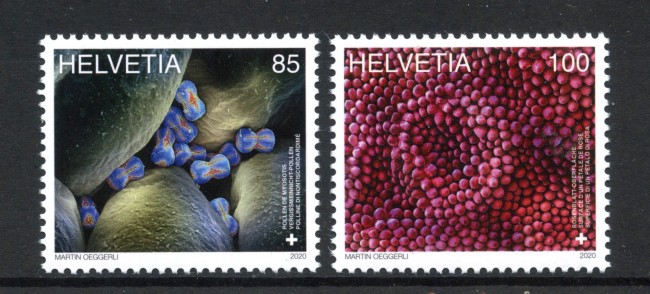 2020 - SVIZZERA - LOTTO/42184 - ARTE  MICROSCOPICA 2v. - NUOVI