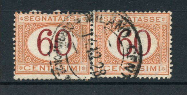1890/94 - LOTTO/20111 - REGNO - 60 CENT. VARIETA' COPPIA USATA