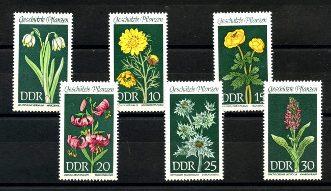 1969 - GERMANIA DDR -  PIANTE LOCALI 6v. - NUOVI - LOTTO/36304