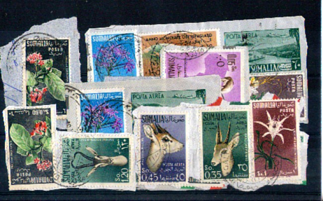 1955 - LOTTO/10636 - SOMALIA AFIS - INSIEME DI 14 VALORI SU FRAMMENTI DI BUSTA.