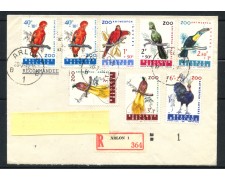 1962 - BELGIO - UCCELLI DELLO ZOO DI ANVERSA 8v.- BUSTA RACCOMANDATA - LOTTO/25135 1962 - BELGIO - UCCELLI DELLO ZOO DI ANVERSA 8v.- BUSTA RACCOMANDATA - LOTTO/25135