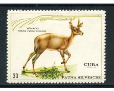 1970 - CUBA - 30c. FAUNA SILVESTRE CERVO - NUOVO - LOTTO/27862