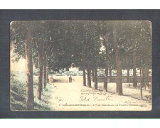 CASALE MONFERRATO - LBF/1169 - IL VIALE DELLE SFINGI CASALE MONFERRATO - LBF/1169 - IL VIALE DELLE SFINGI