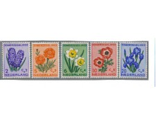 Beneficenza NETHERLANDS OLANDA Castelli serie estiva 1953 