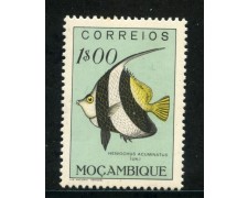 1951 - MOZAMBICO - 1e. PESCI - LING. - LOTTO/29043 1951 - MOZAMBICO - 1e. PESCI - LING. - LOTTO/29043
