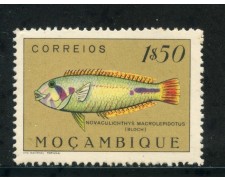 1951 - MOZAMBICO - 1,5 e. PESCI - T/L - LOTTO/29045 1951 - MOZAMBICO - 1,5 e. PESCI - T/L - LOTTO/29045