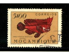 1951 - MOZAMBICO - 5 e. PESCI - USATO - LOTTO/29051 1951 - MOZAMBICO - 5 e. PESCI - USATO - LOTTO/29051