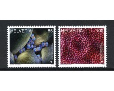 2020 - SVIZZERA - LOTTO/42184 - ARTE  MICROSCOPICA 2v. - NUOVI
