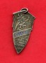 1920 - MEDAGLIA - 5° MARCIA INVERNALE IN MONTAGNA - LOTTO/M32430