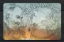 1999 - ITALIA - LOTTO/48454 - TESSERA TELEFONICA NUOVA  SPECIMEN GIUBILEO 2000