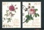 1988 - LOTTO/16853 - BELGIO - FILATELIA ROSE 2v. - USATI