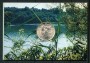 1992 - REPUBBLICA - 500 LIRE ARGENTO FLORA E FAUNA - LOTTO/M28946
