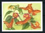 1992 - ST.VINCENT.- LOTTO/20226 - FARFALLE FOGLIETTO NUOVO