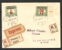 1919 - FIUME - LOTTO/39756 - 45 su 20 F. + 45 su 6F  SEGNATASSE - BUSTA RACC.