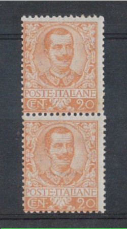 1901 - LOTTO/REG72NC - REGNO - 20c. ARANCIO COPPIA - NUOVI