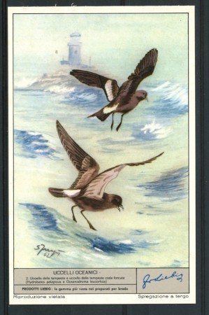 1963 - LIEBIG - LOTTO/18788 - UCCELLI OCEANICI