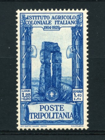 1930/31 - LOTTO/14968 - TRIPOLITANIA - 1,25+20 CENT. AZZURRO ISTITUTO AGRICOLO - LING.