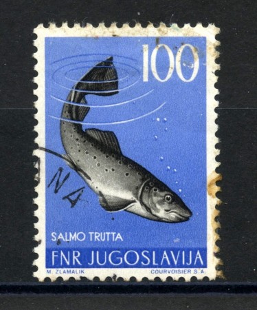 1954 - JUGOSLAVIA - 100d. FAUNA  TROTA - USATO- LOTTO/33789