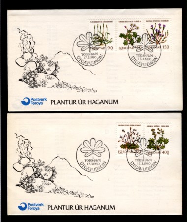 1980 - LBF/3974 - FAEROER - FLORA LOCALE - BUSTE FDC
