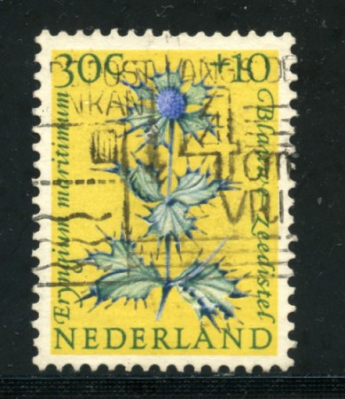 1960 - LOTTO/21297 - OLANDA - 30+10c. BENEFICENZA - USATO