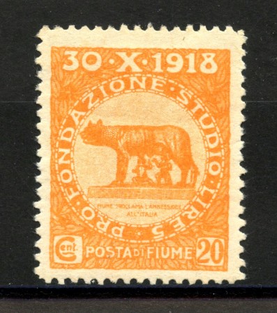 1919 - FIUME - LOTTO/39876 - 20+5c. ARANCIO PLEBISCITO - T/L