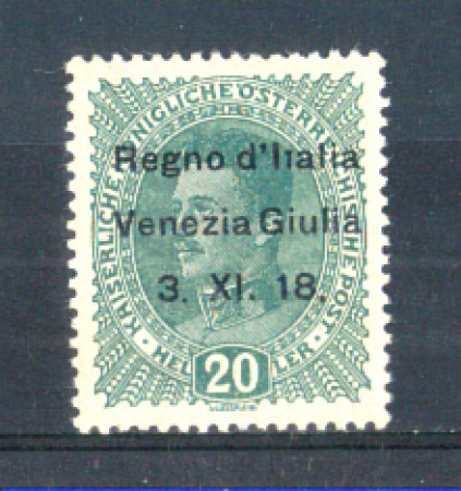 1918 - LOTTO/VNG7N - VENEZIA GIULIA - 20h. VERDE SCURO NUOVO