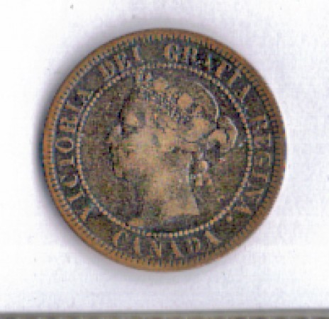 1884 - LOTTO/MCAN1884 - CANADA - 1 CENT. REGINA VITTORIA