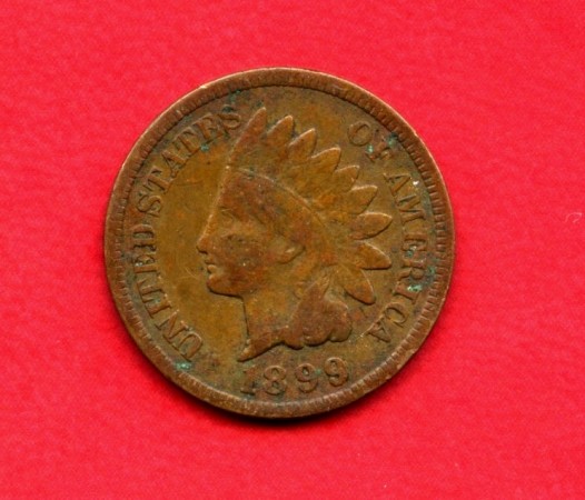 1899 - STATI UNITI - 1 CENT. INDIANO - LOTTO/M26193