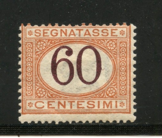 1924 - REGNO - 60 Cent. SEGNATASSE - LINGUELLATO - LOTTO/31964