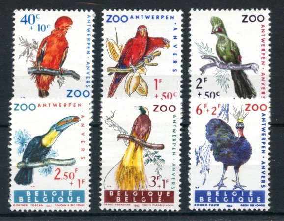 1962  BELGIO - UCCELLI DELL ZOO 6v. - NUOVI - LOTTO/25045