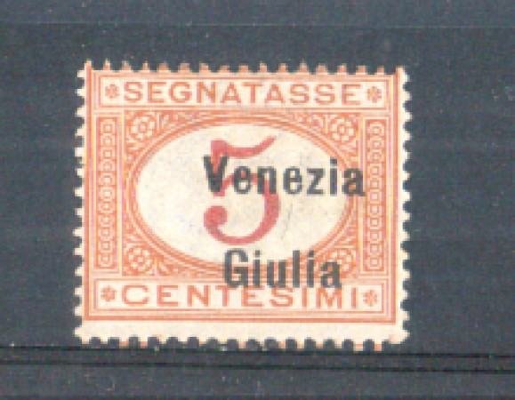 1918 - LOTTO/VNGT1L - VENEZIA GIULIA - 5c. SEGNATASSE LING.