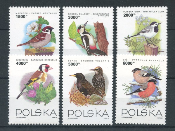 1993 - POLONIA - LOTTO/20072 - UCCELLI 6v. - nuovi