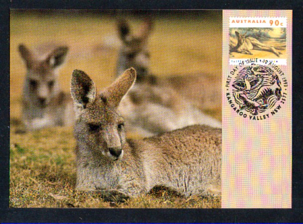 1993 - AUSTRALIA - LOTTO/11454 -  KANGAROO VALLEY - CARTOLINA MAXIMUM