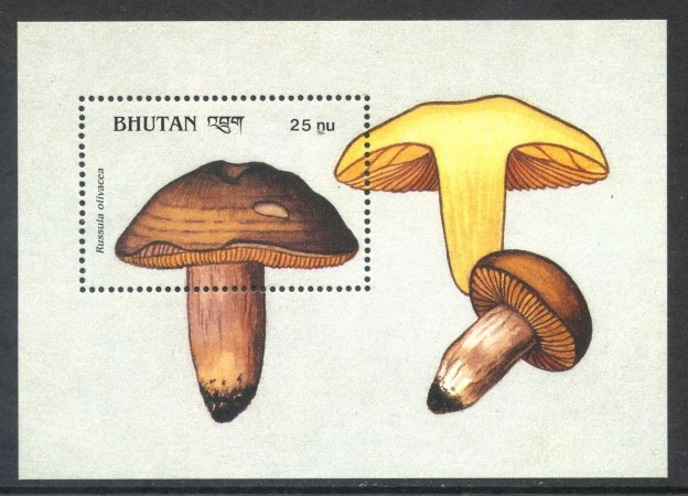 1990 - BHUTAN - FUNGHI RUSSULA OLIVACEA - FOGLIETTO NUOVO - LOTTO/29884