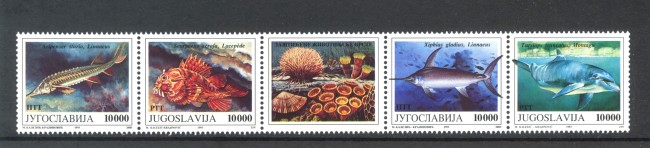  1993 - JUGOSLAVIA - LOTTO/38613 - FAUNA MARINA 4v. - NUOVI